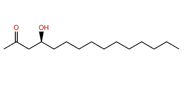 (S)-Lobophorone C